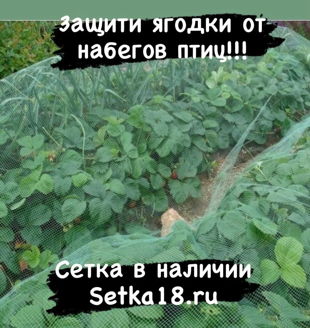 Секта Фасадная, укрывная, затеняющая - изображение 1