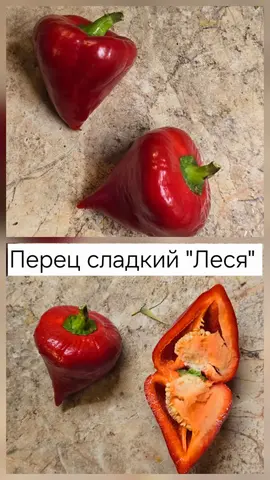 семена сладких перцев