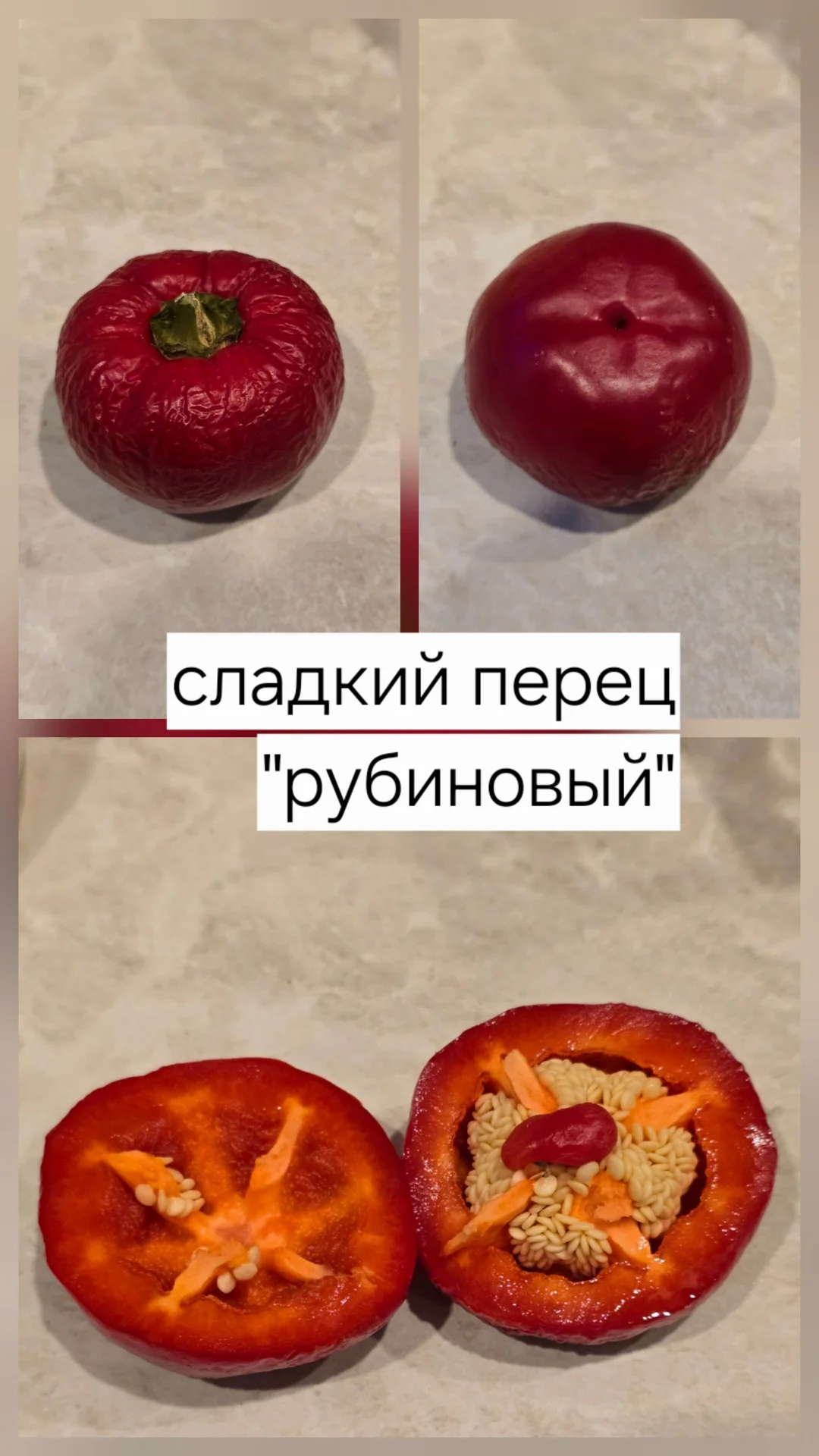 семена сладких перцев - миниатюра 2