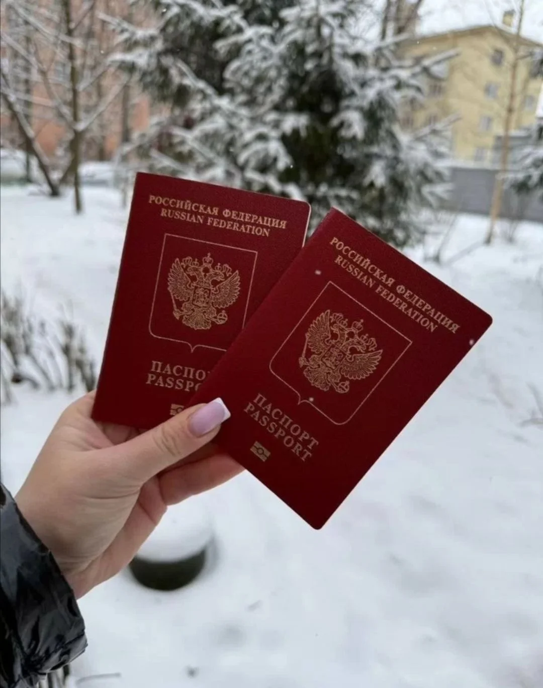 Помощь в оформлении загранпаспорта - изображение 1