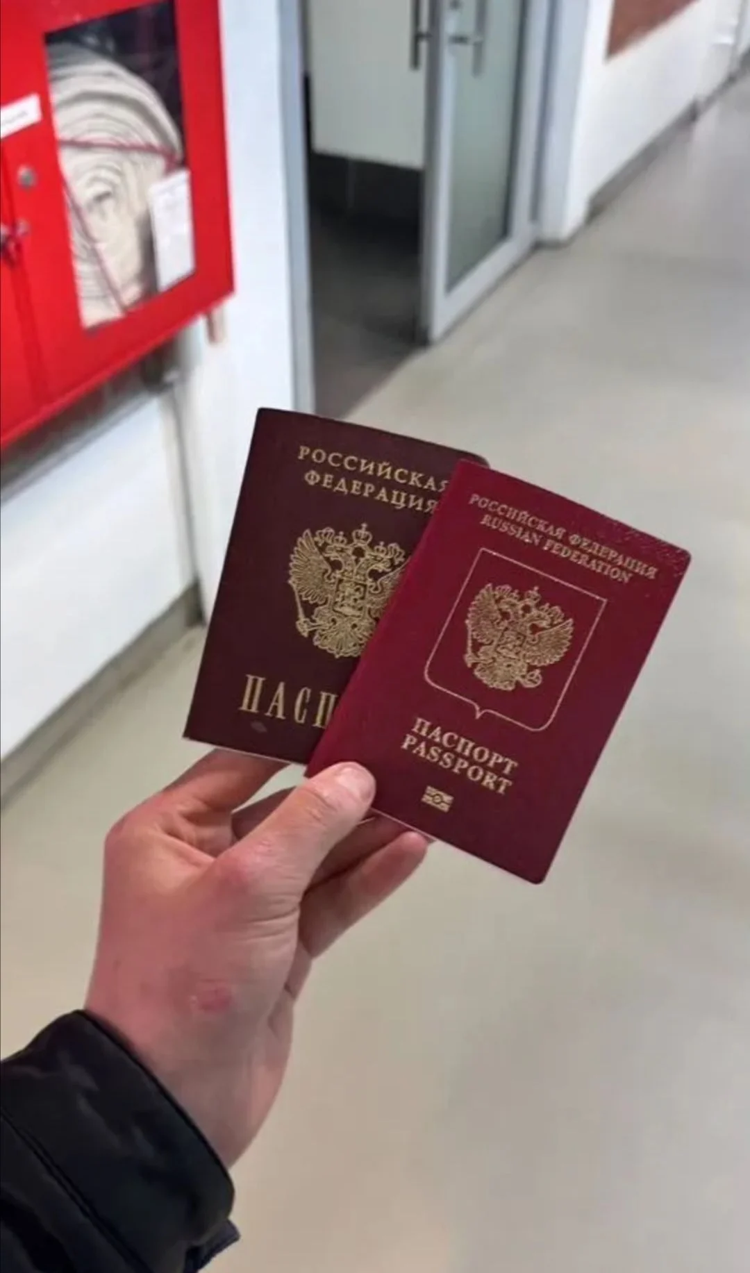 Помощь в оформлении загранпаспорта - миниатюра 2