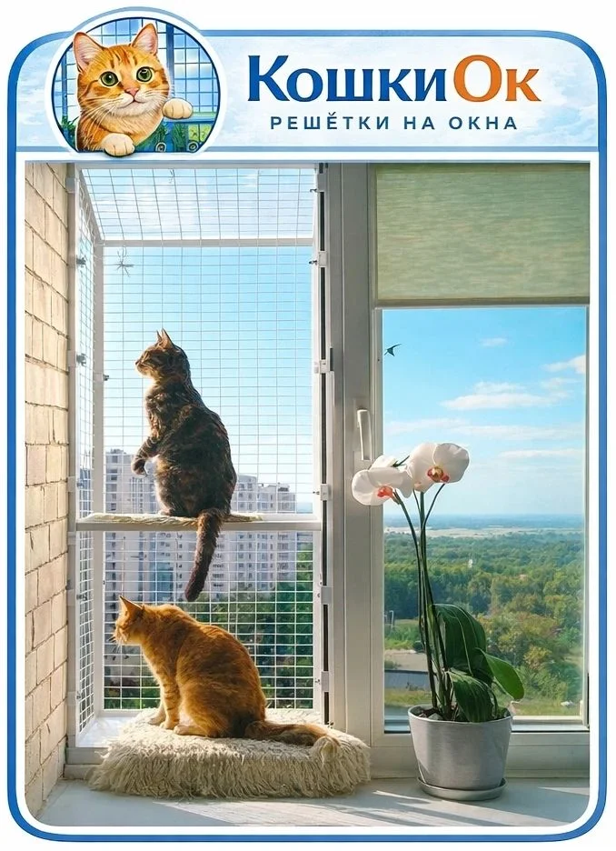Балкончики и защитные решётки на окна для кошек - миниатюра 12
