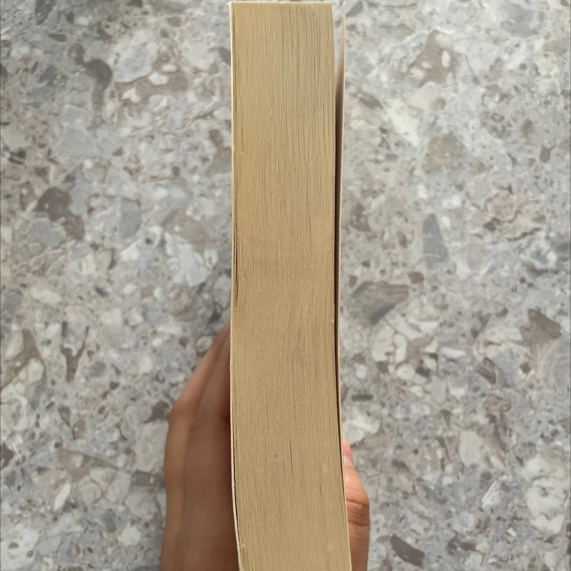 Книга «Гребаная история» Бернар Миньер - миниатюра 3