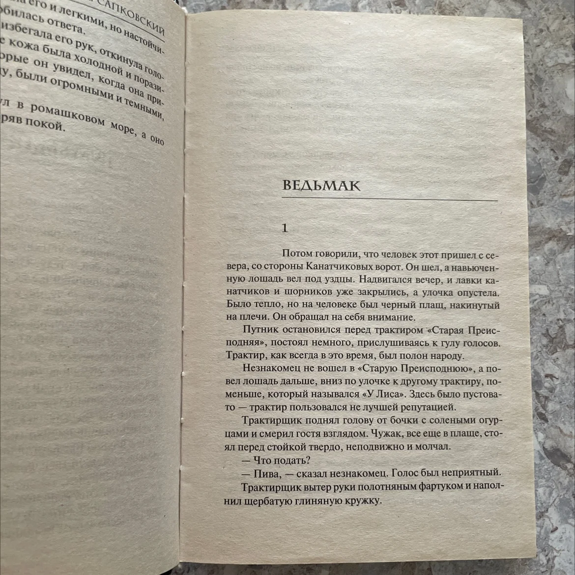 Книга «Ведьмак» - миниатюра 2