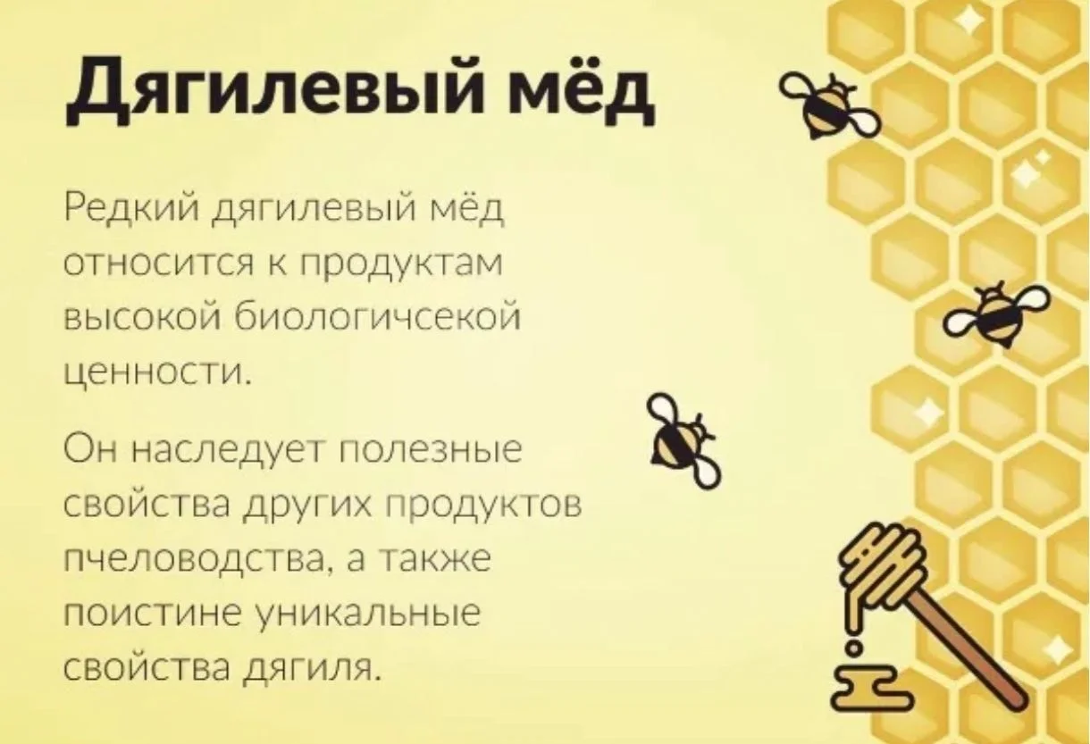 Алтайский тайежный дягилевый мёд - миниатюра 3