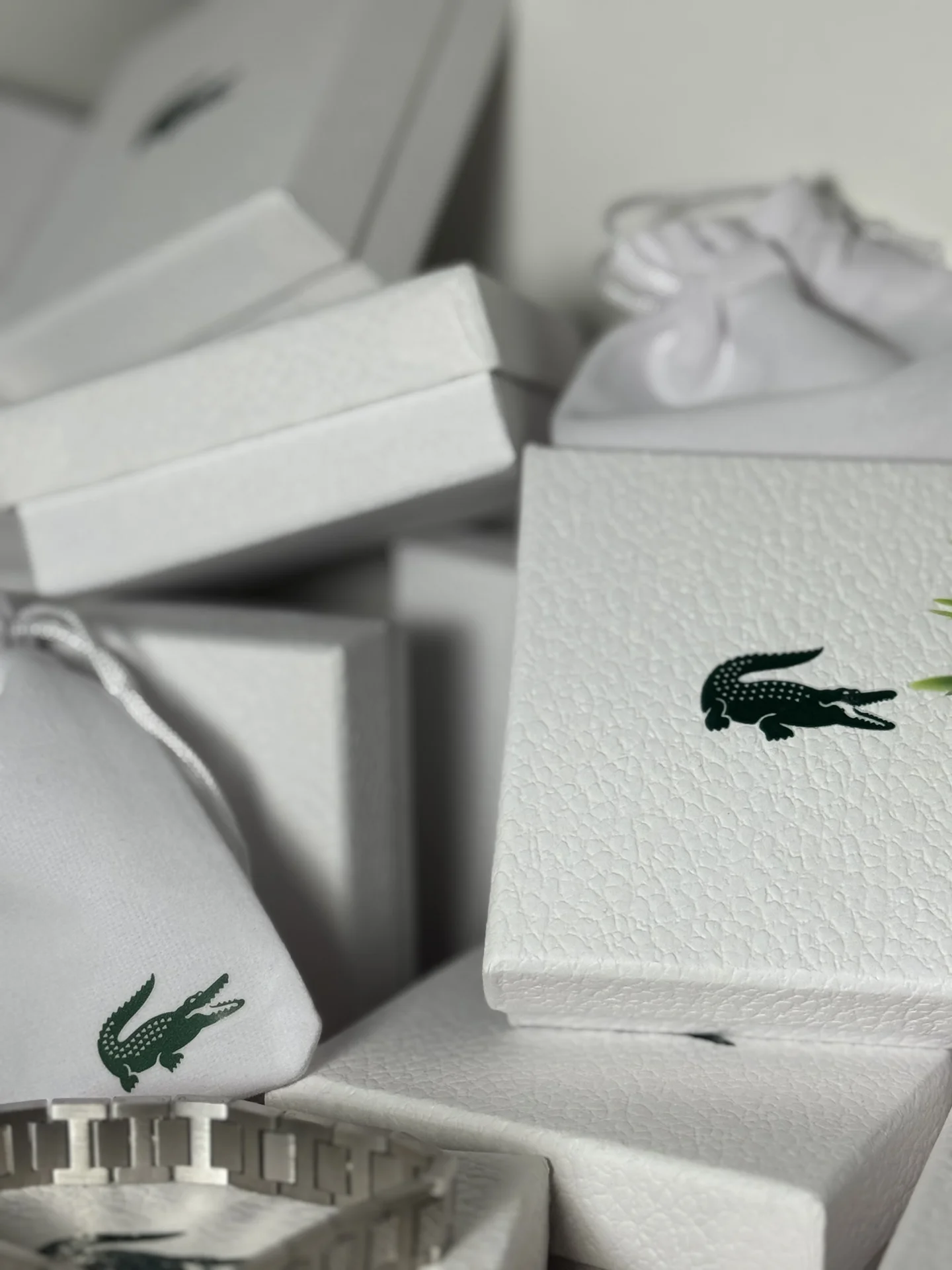 ⌚ Браслет Lacoste (металл, серебристый) - миниатюра 4