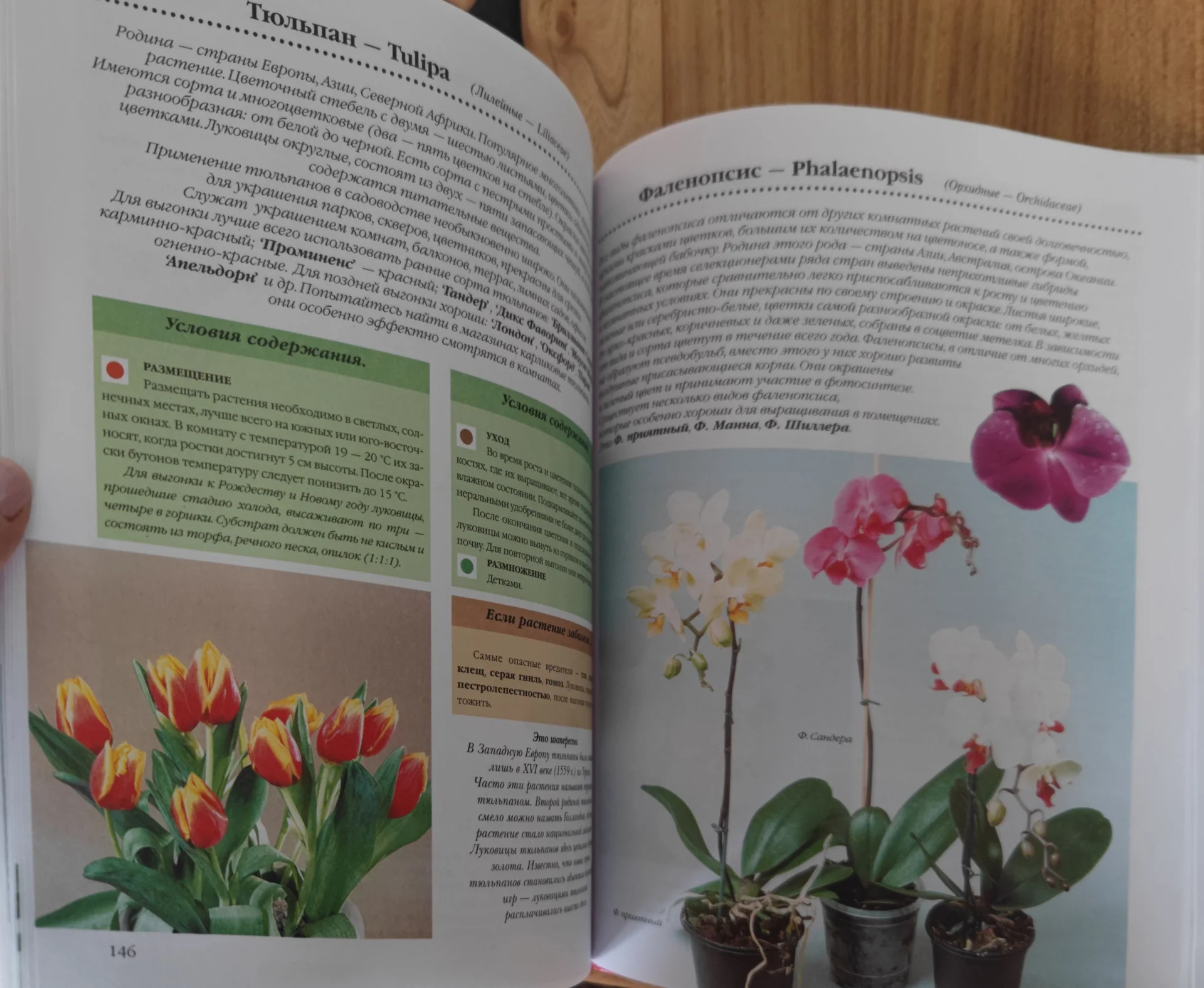 Большая кулинарная книга Уход за растениями - миниатюра 17