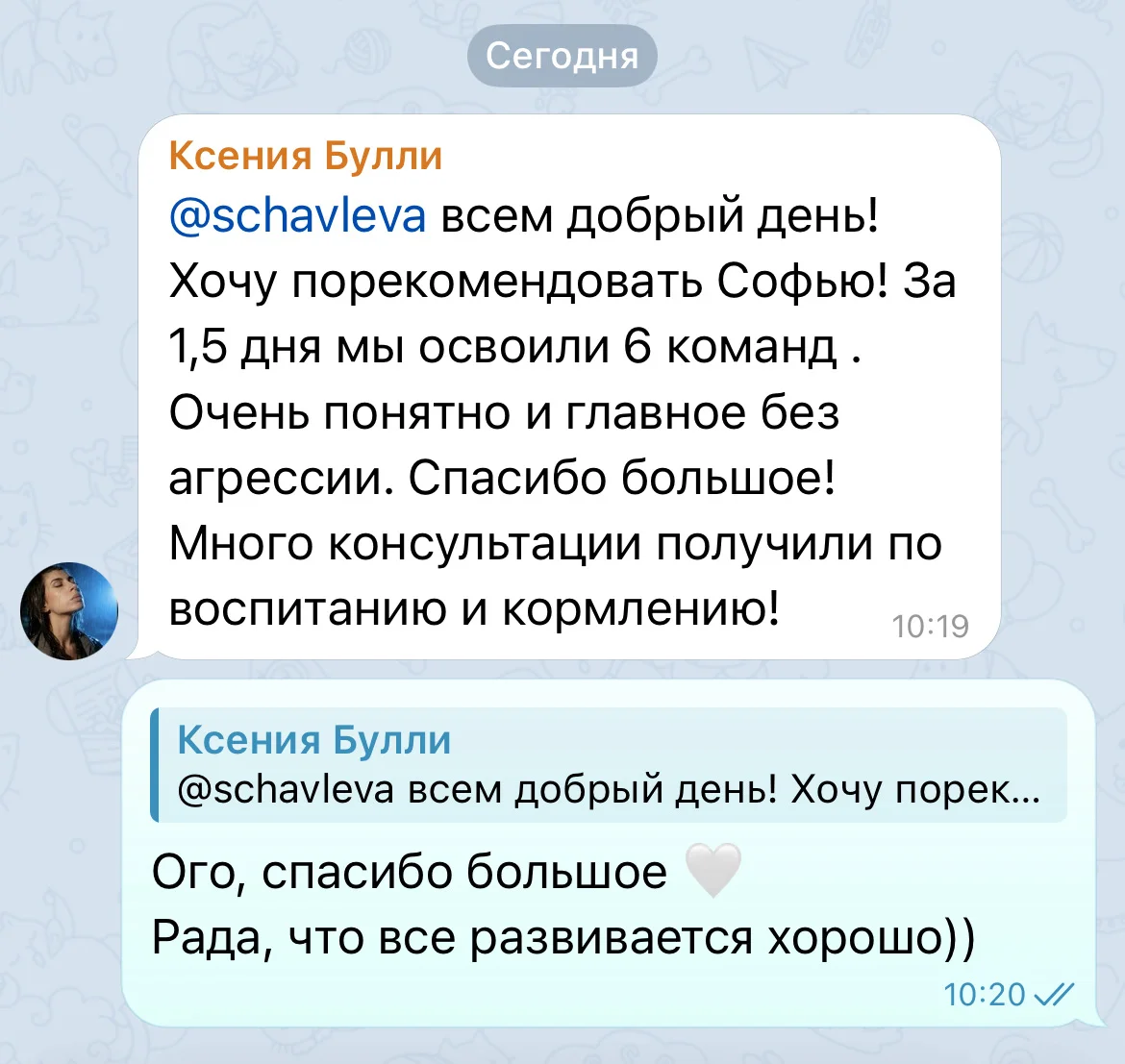 Кинолог, зоопсихолог - миниатюра 4