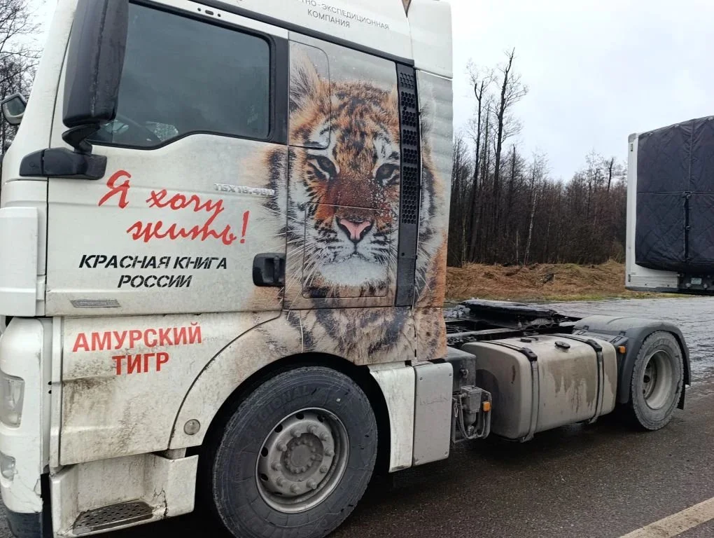 MAN TGX 18.480 4X2 BLS - миниатюра 2