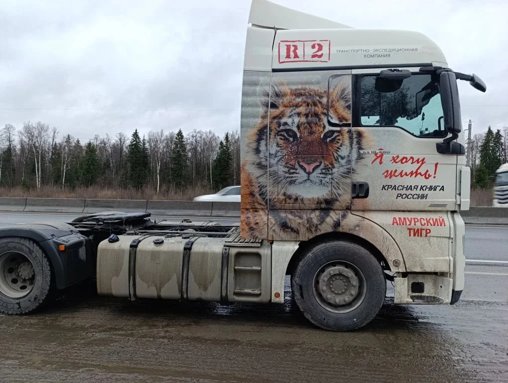 MAN TGX 18.480 4X2 BLS - миниатюра 3