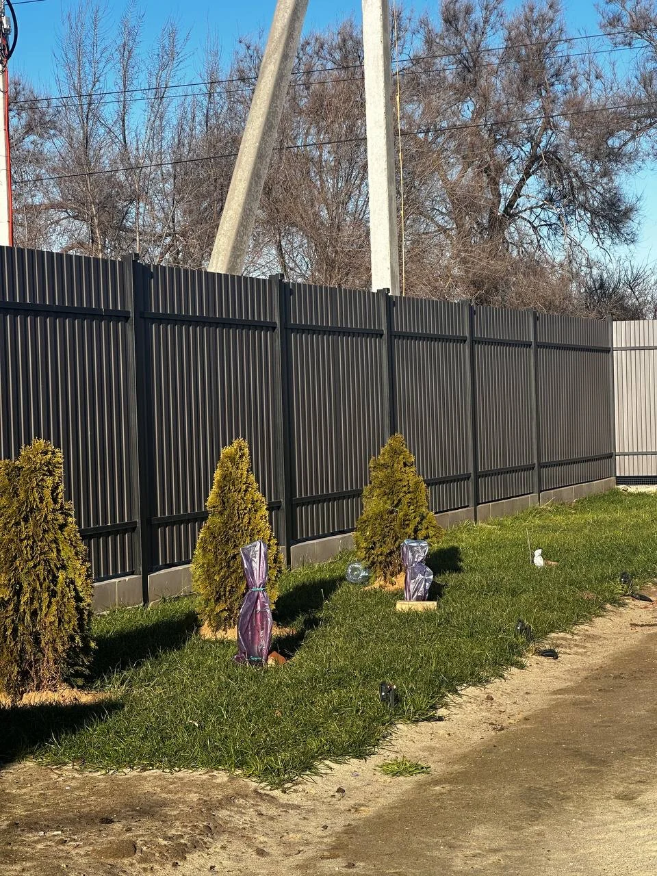 Продаю дачу 6 сот. - миниатюра 8