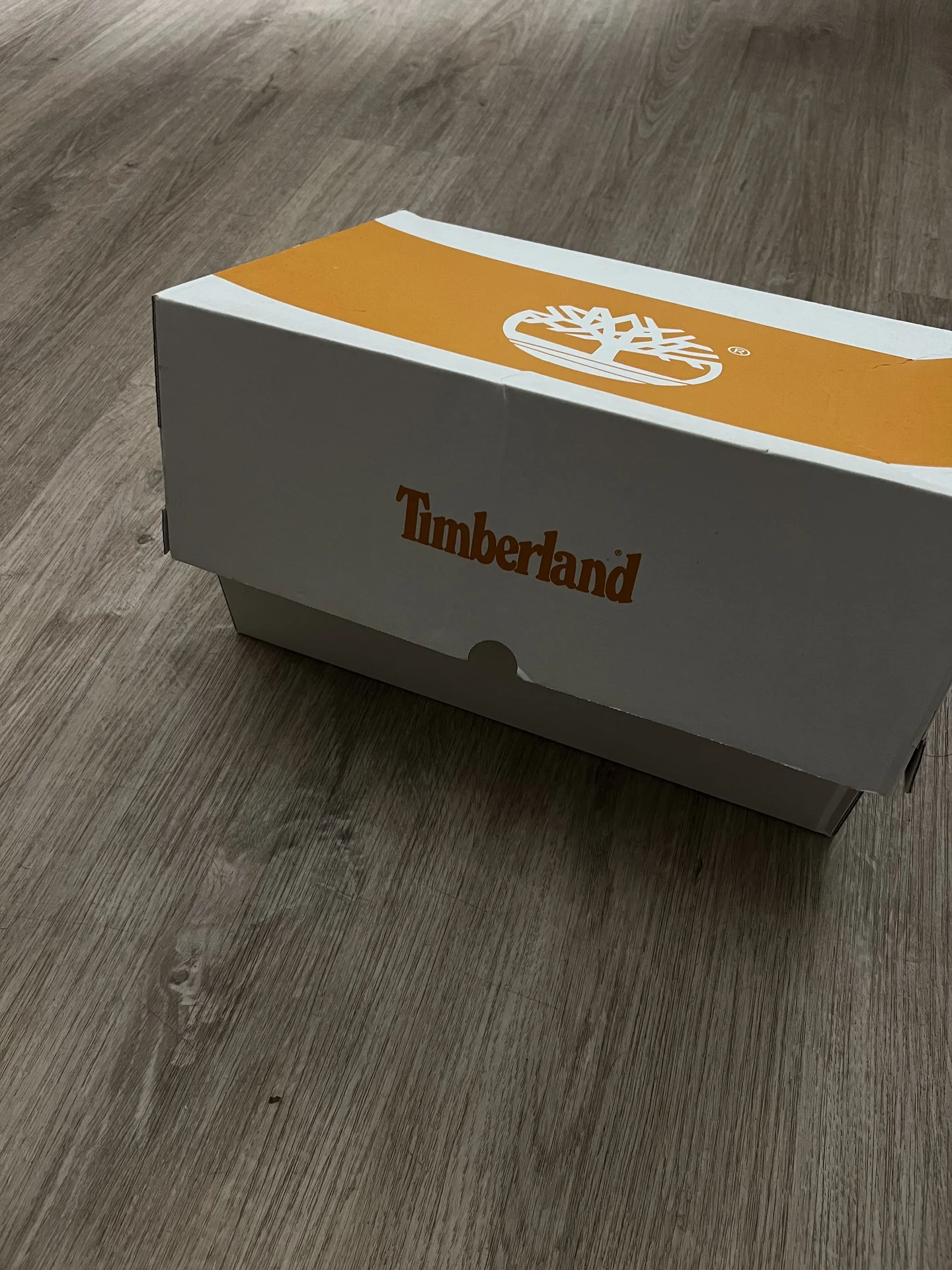 Женские кроссовки Timberland, новые, оригинал - миниатюра 6