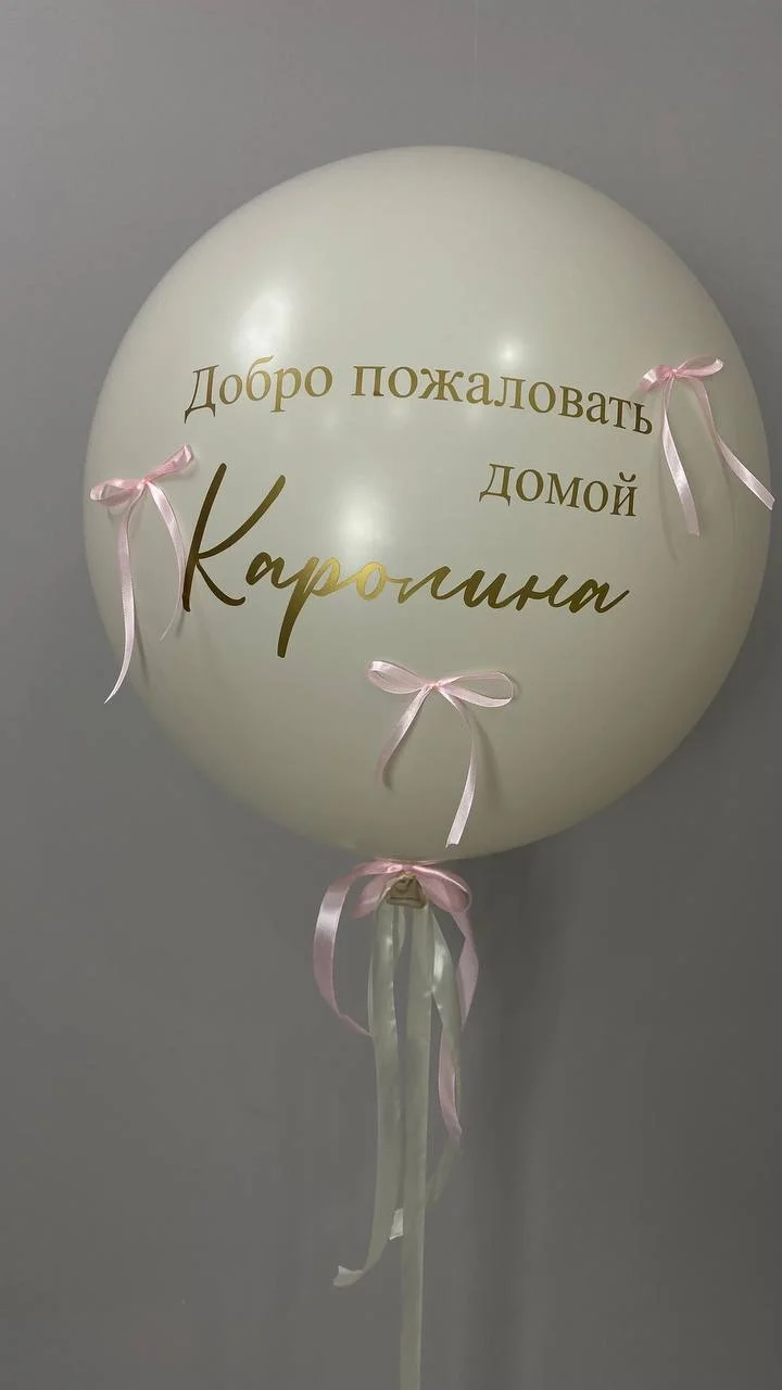 Шары на выписку девочки - миниатюра 4