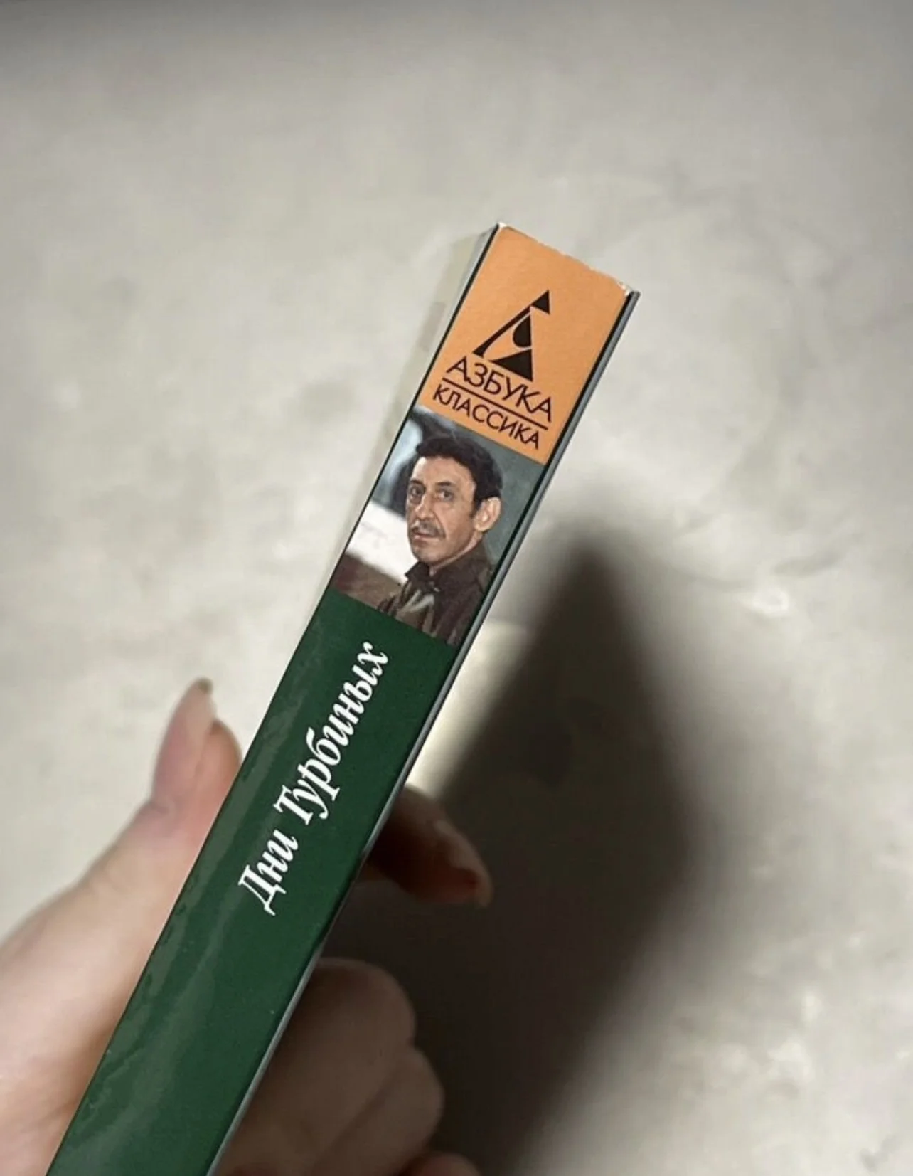 Книга «Дни Турбиных» - миниатюра 3