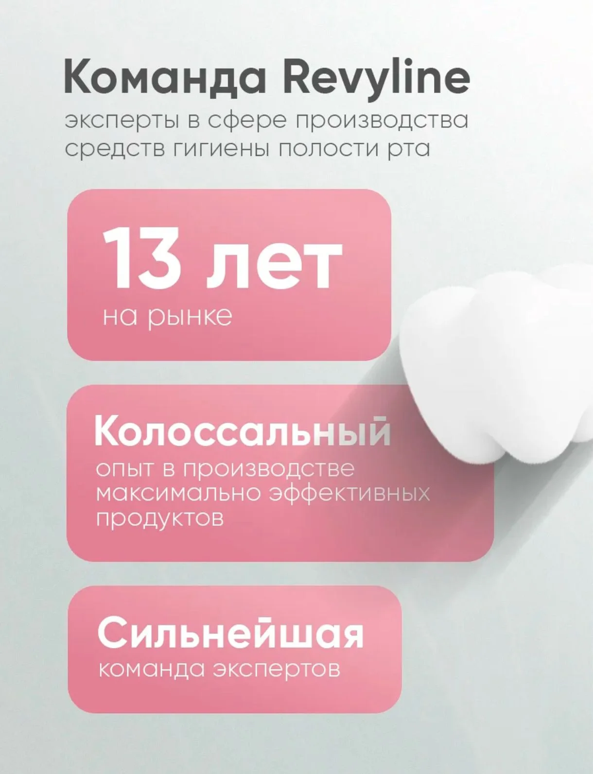 Электрическая звуковая  щётка Reviline RL 015 - миниатюра 8