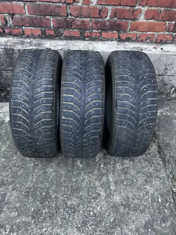 шины bridgestone blizzak spike-01
