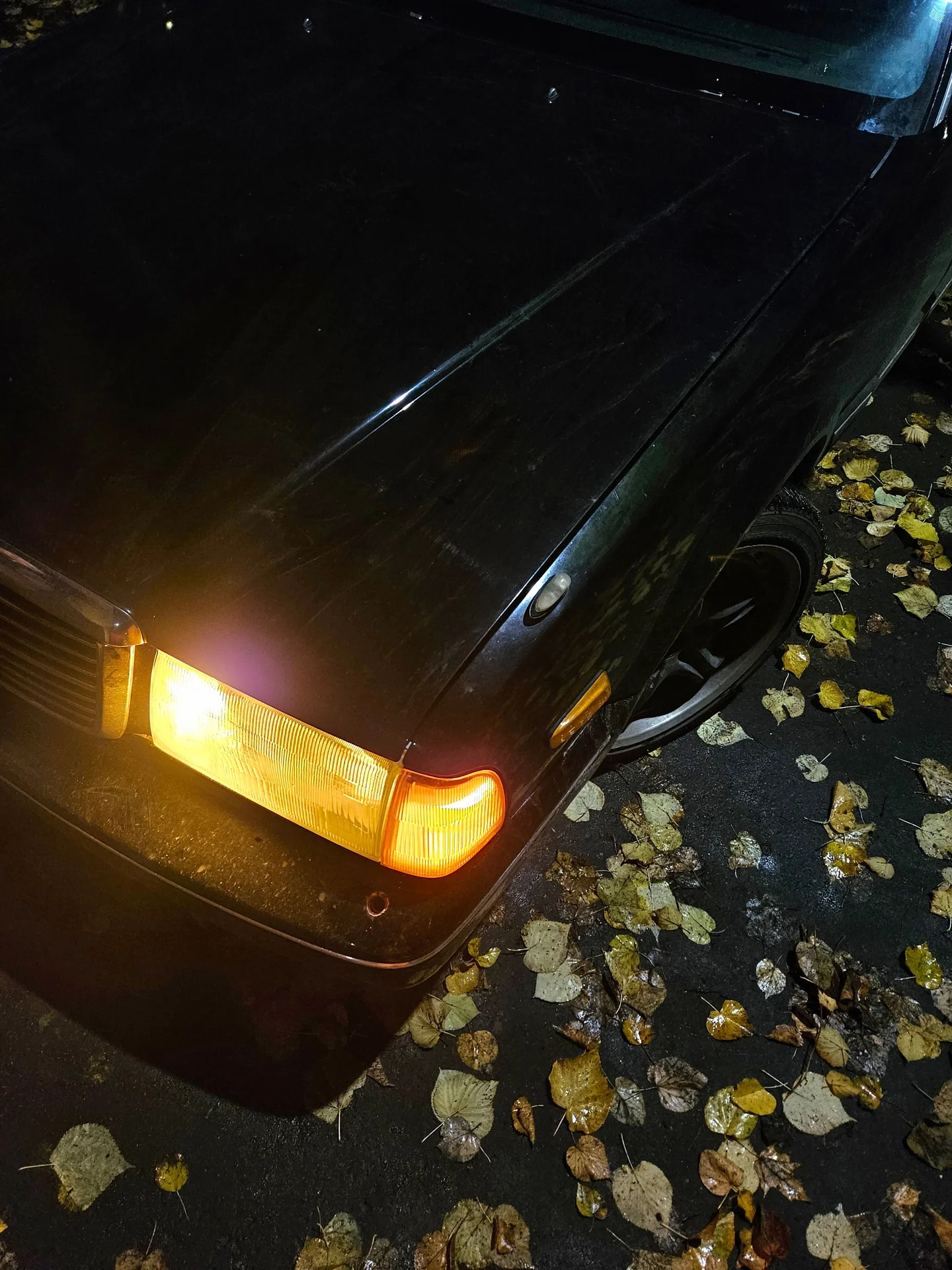 Nissan Cedric Y31 - миниатюра 17