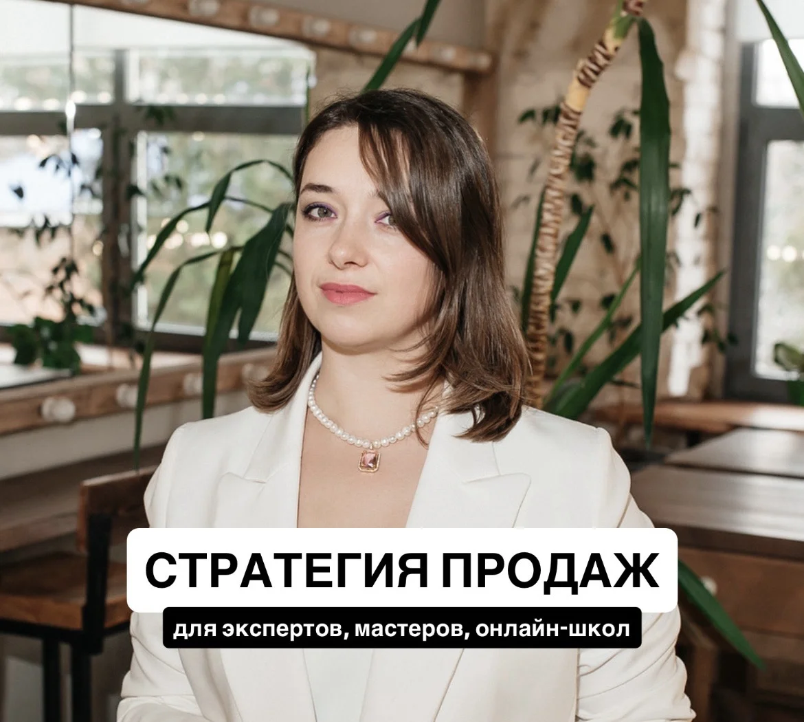 Стратегия продаж и развития проекта - изображение 1