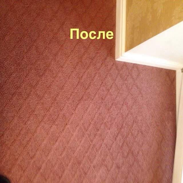 Выездная химчистка ковров в Омске - миниатюра 14