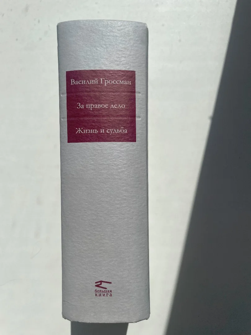 Гроссман Василий "За правое дело". Жизнь и судьба" (Серия "Большая книга") - миниатюра 2