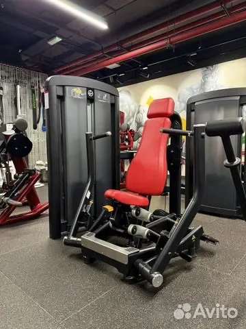 Тренажеры Life Fitness Insignia (реплика) - изображение 1