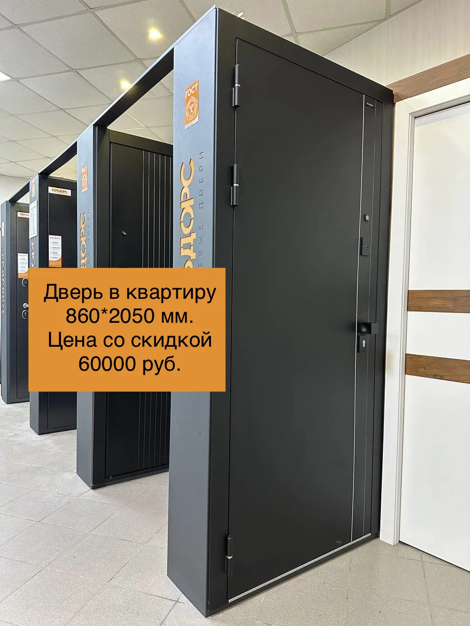 Выставочные образцы входные двери. Распродажа - миниатюра 8