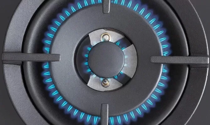 Bertazzoni P755cprogne - миниатюра 5