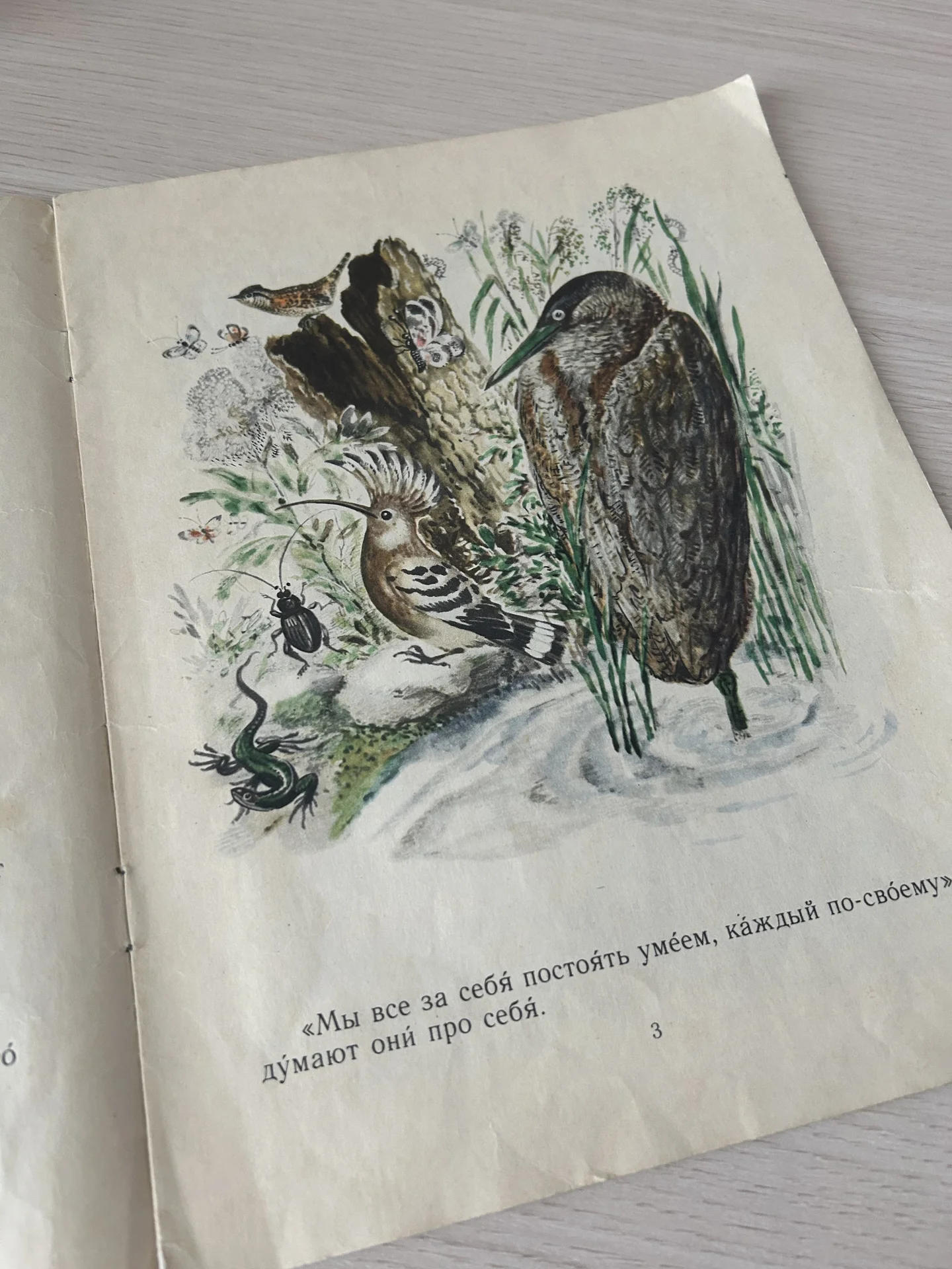 Книга Первая охота, Валерий Бианки - миниатюра 4