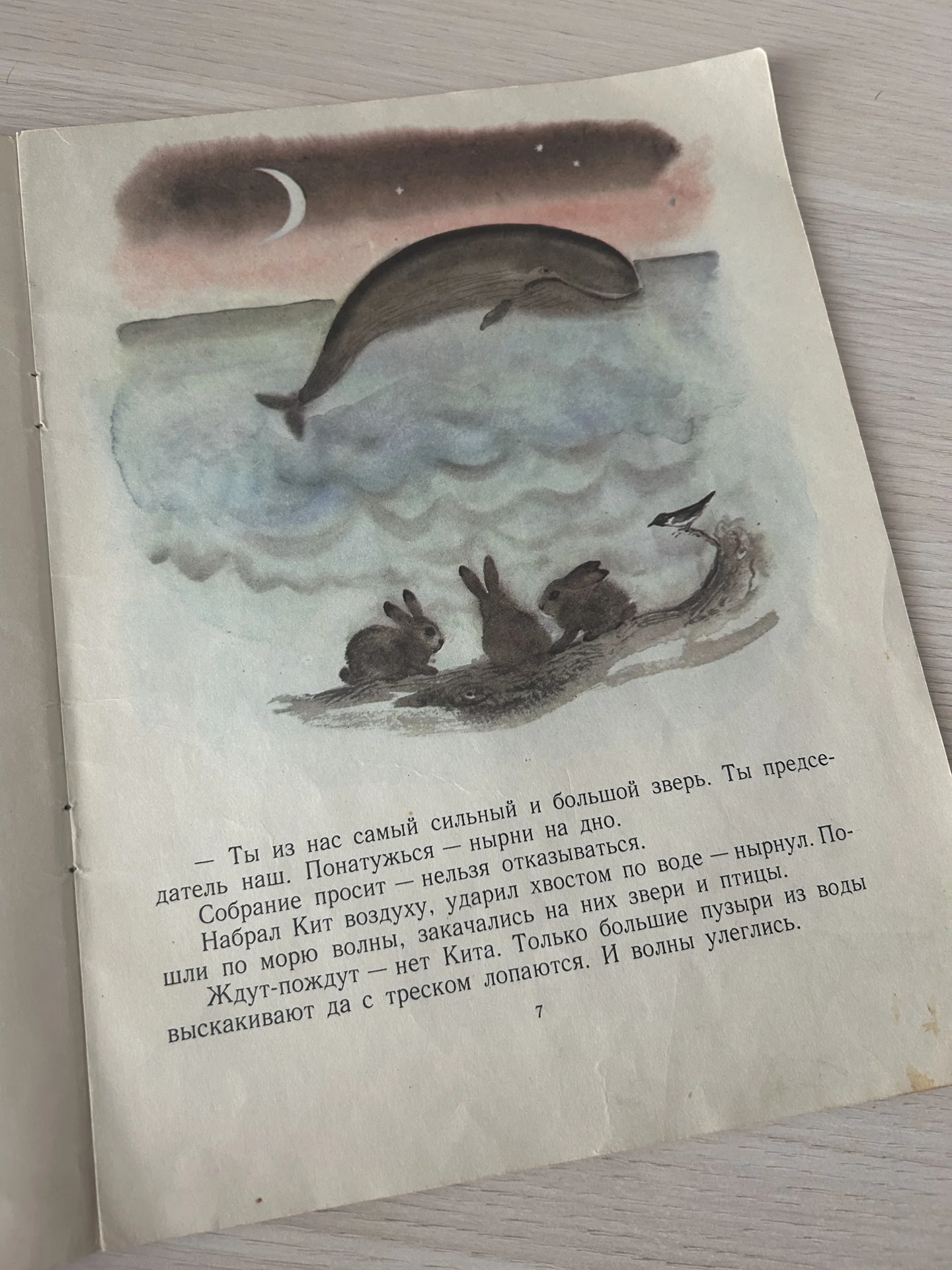Книга Люля, В. Бианки - миниатюра 5