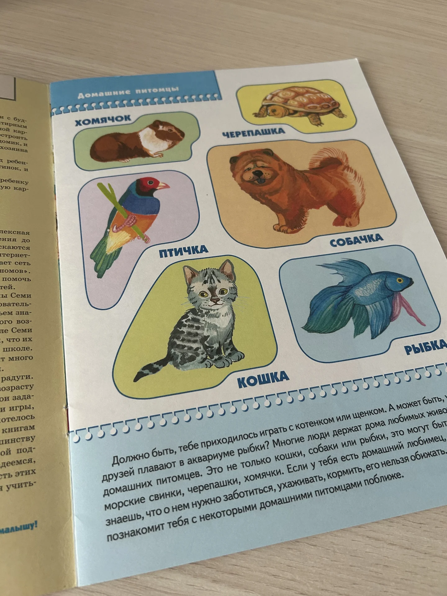 Книга Школа семи гномов 2+ - миниатюра 4