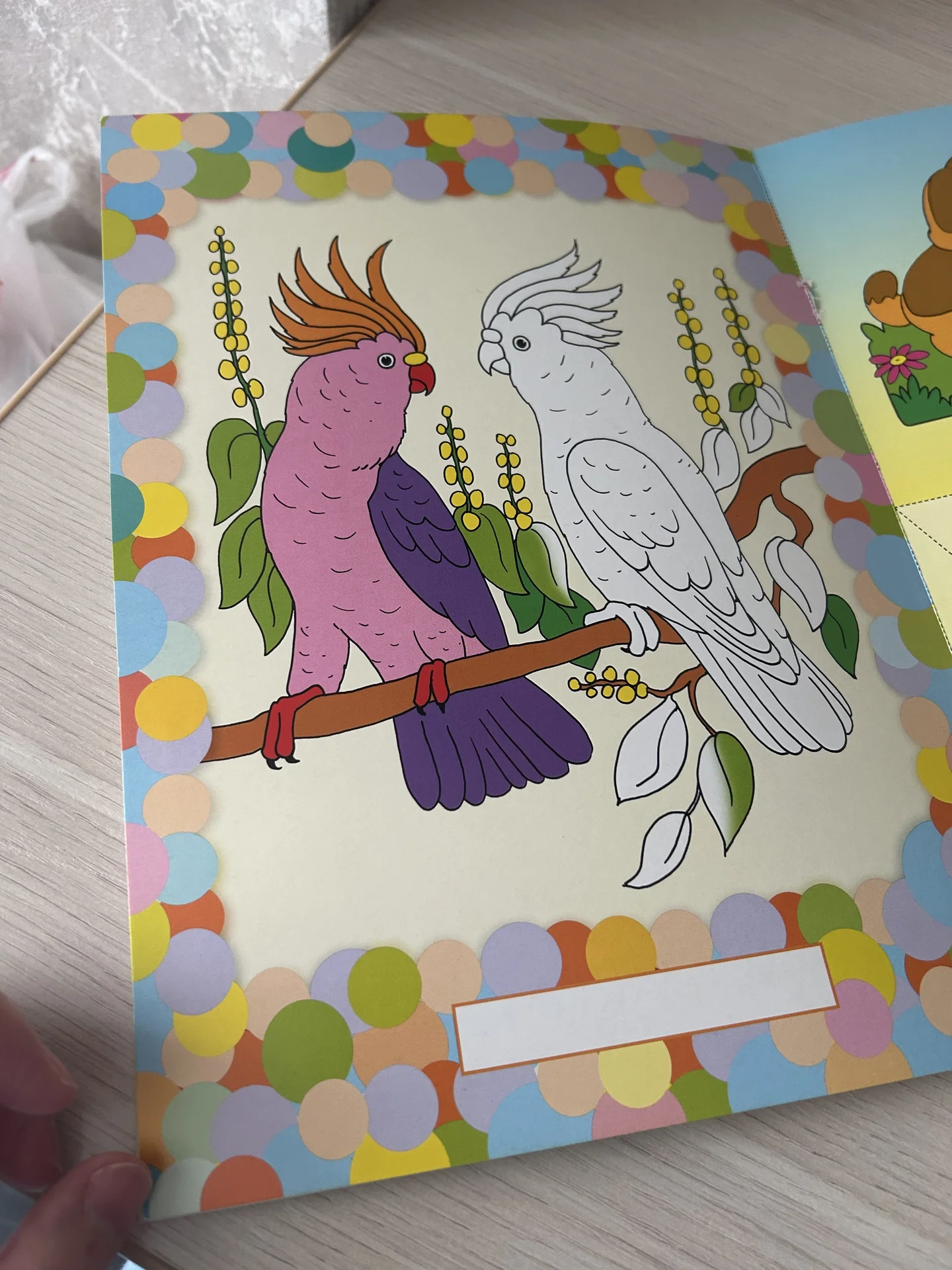 Книга Школа семи гномов 2+ - миниатюра 5