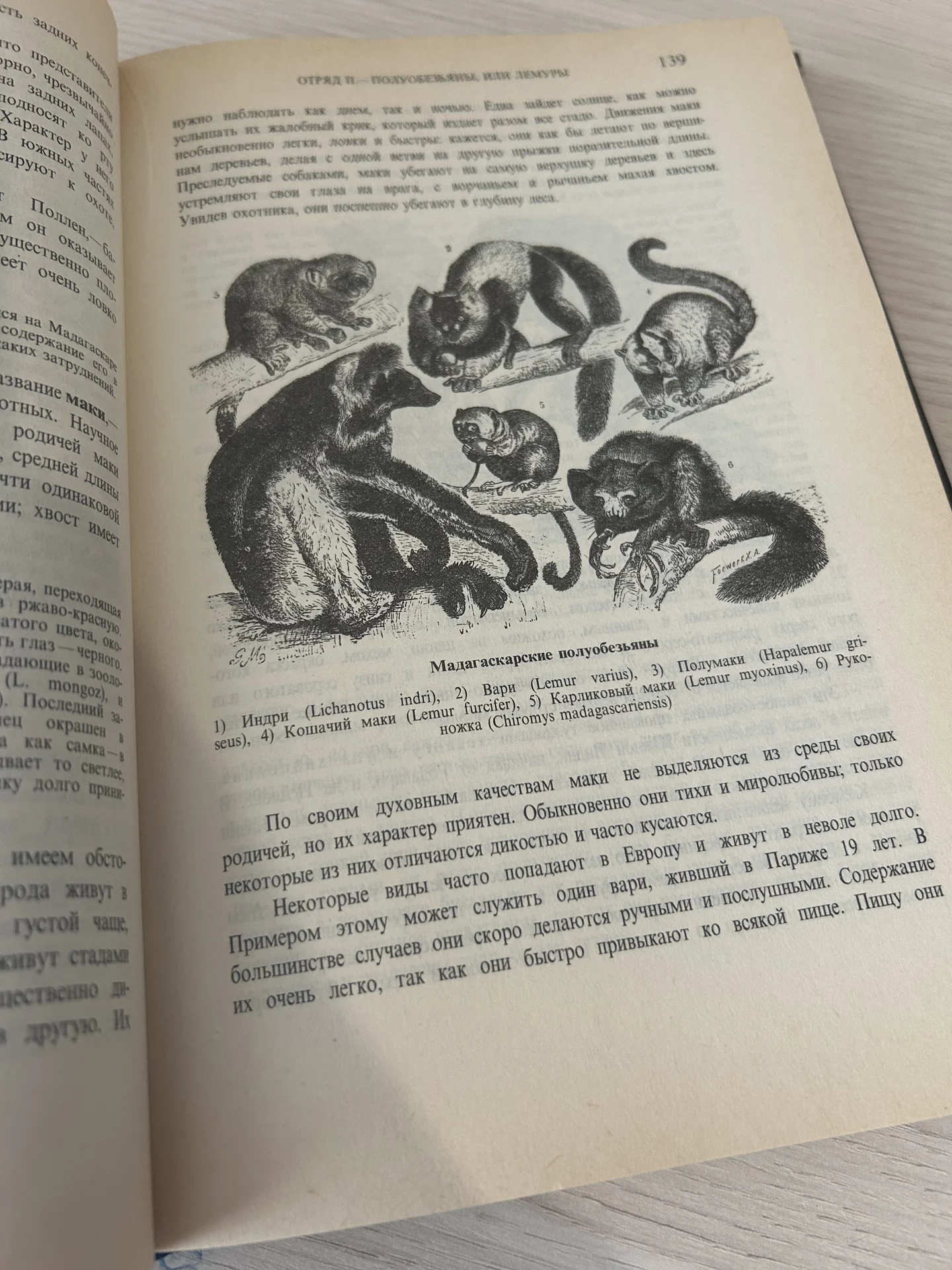 Книга Жизнь животных. А. Э. Брэм. - миниатюра 6