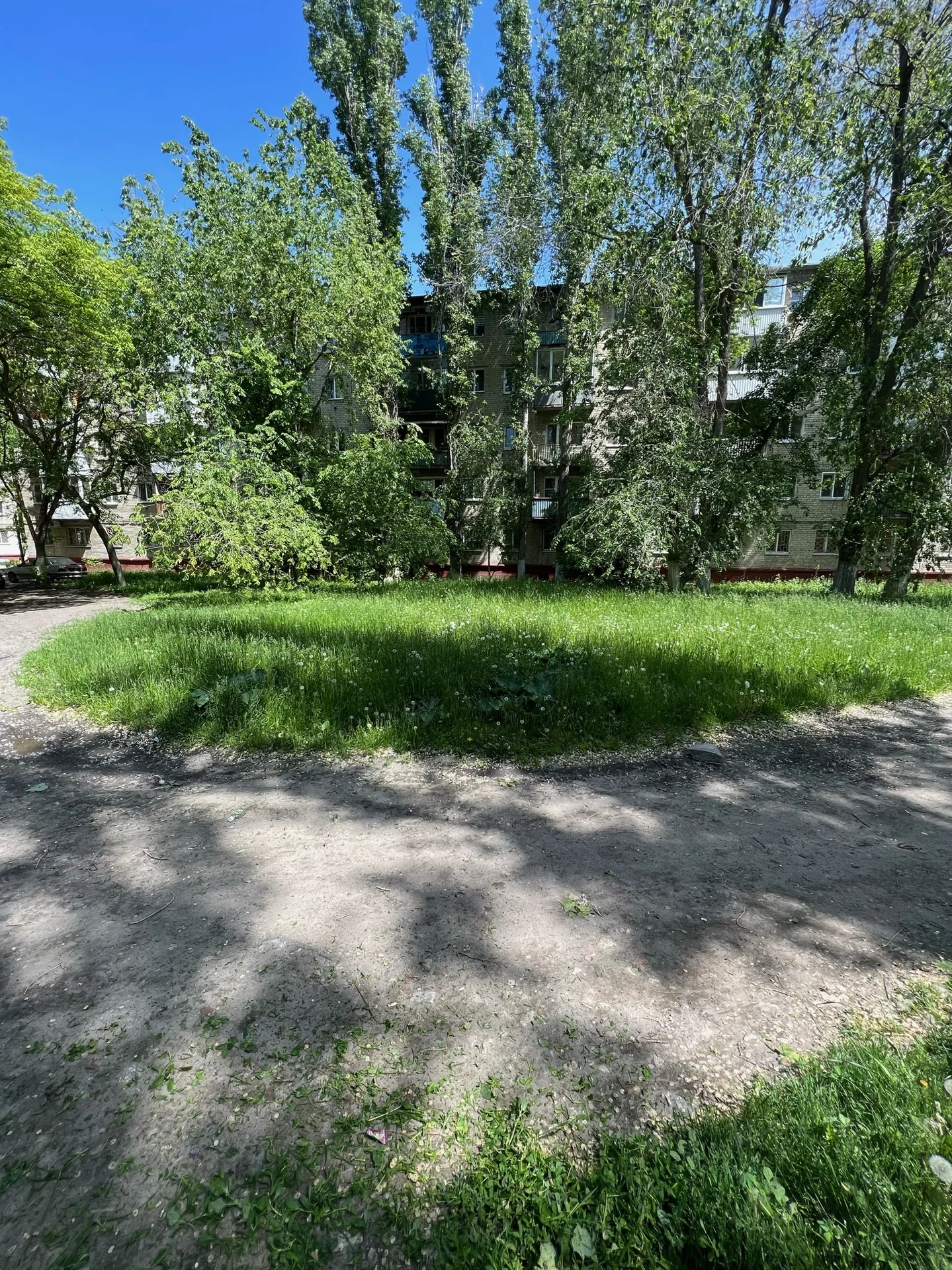 Покос травы - миниатюра 15