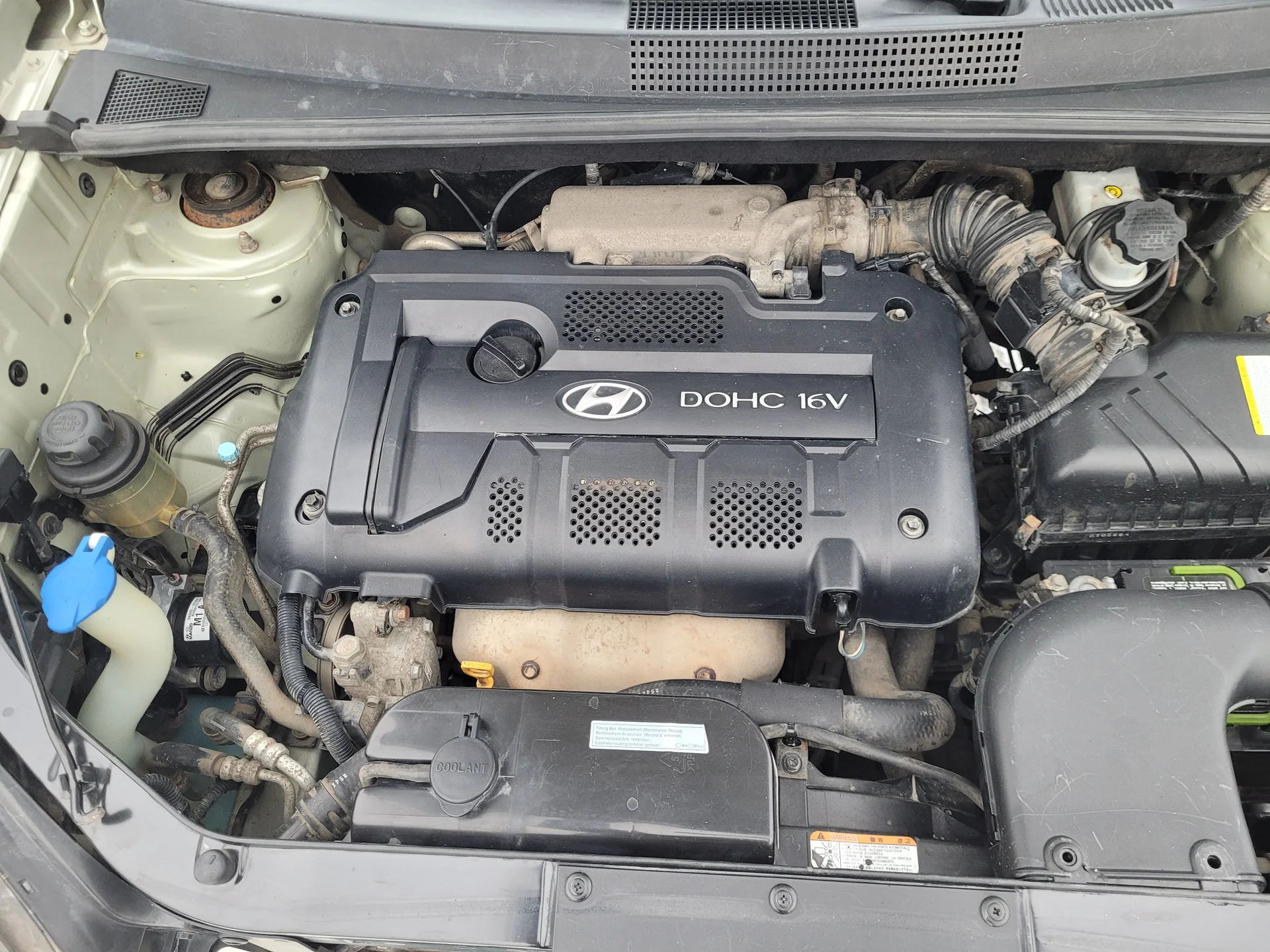 Hyundai Tucson 2.0 МТ, 2007г.в. - миниатюра 9