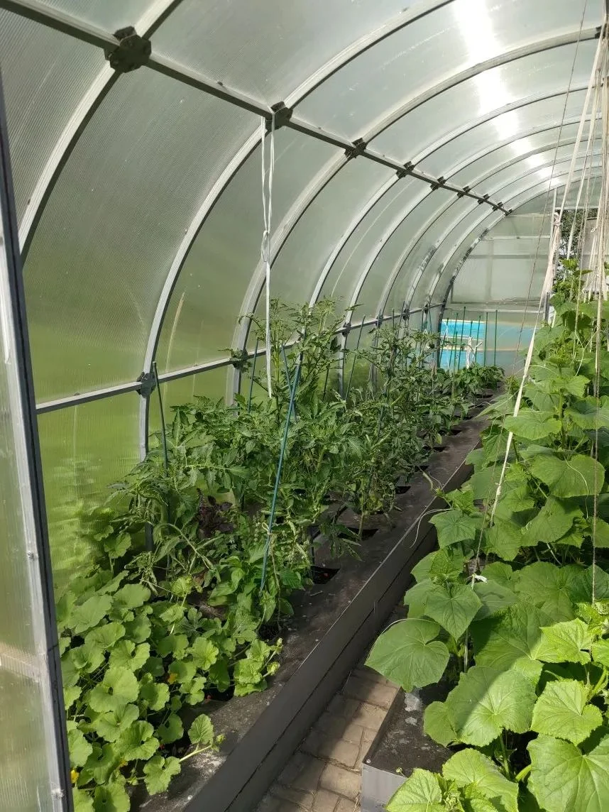 Продам дачу в СНТ Кварц - миниатюра 11