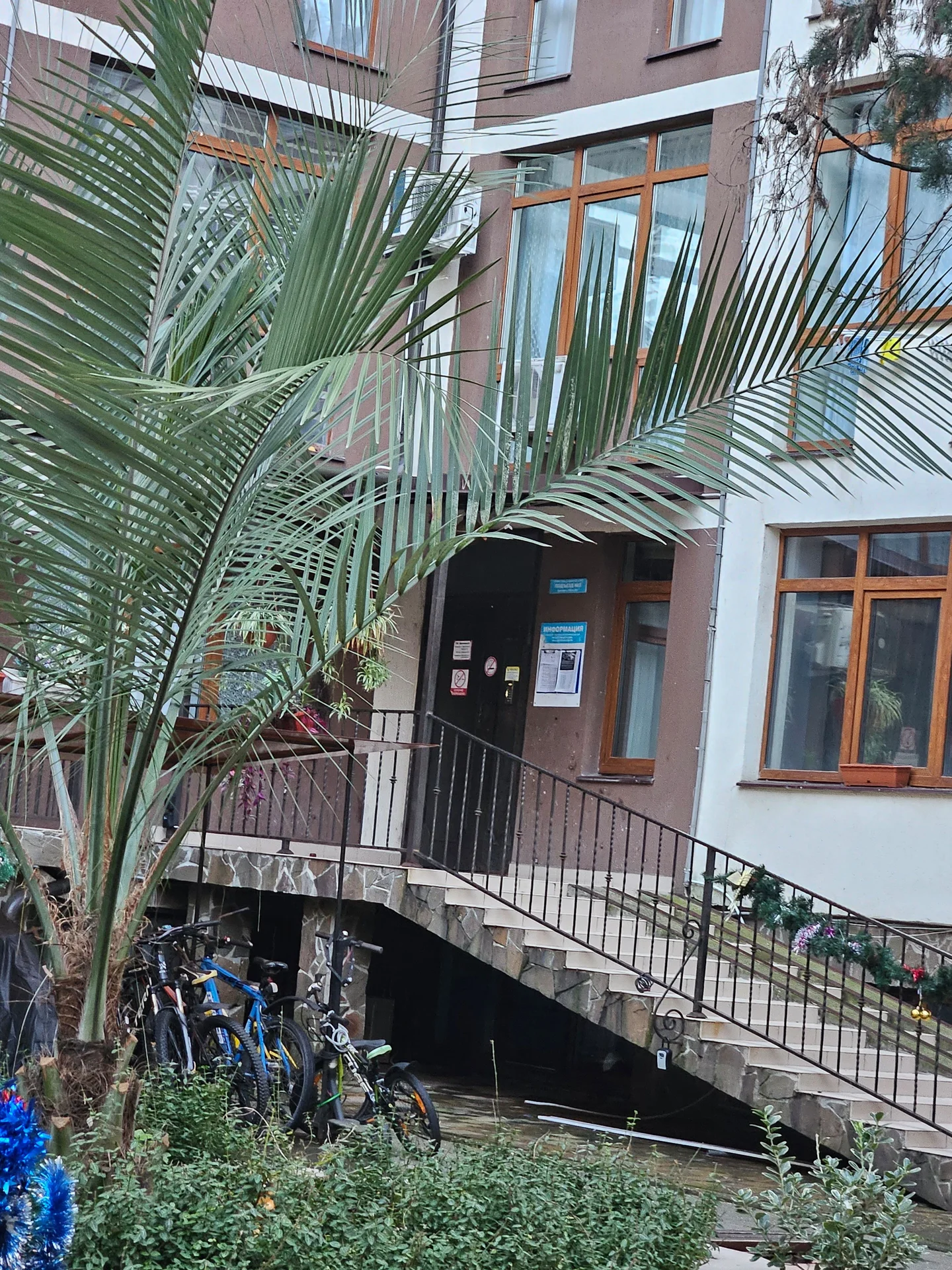 Квартира в Сириусе - миниатюра 16