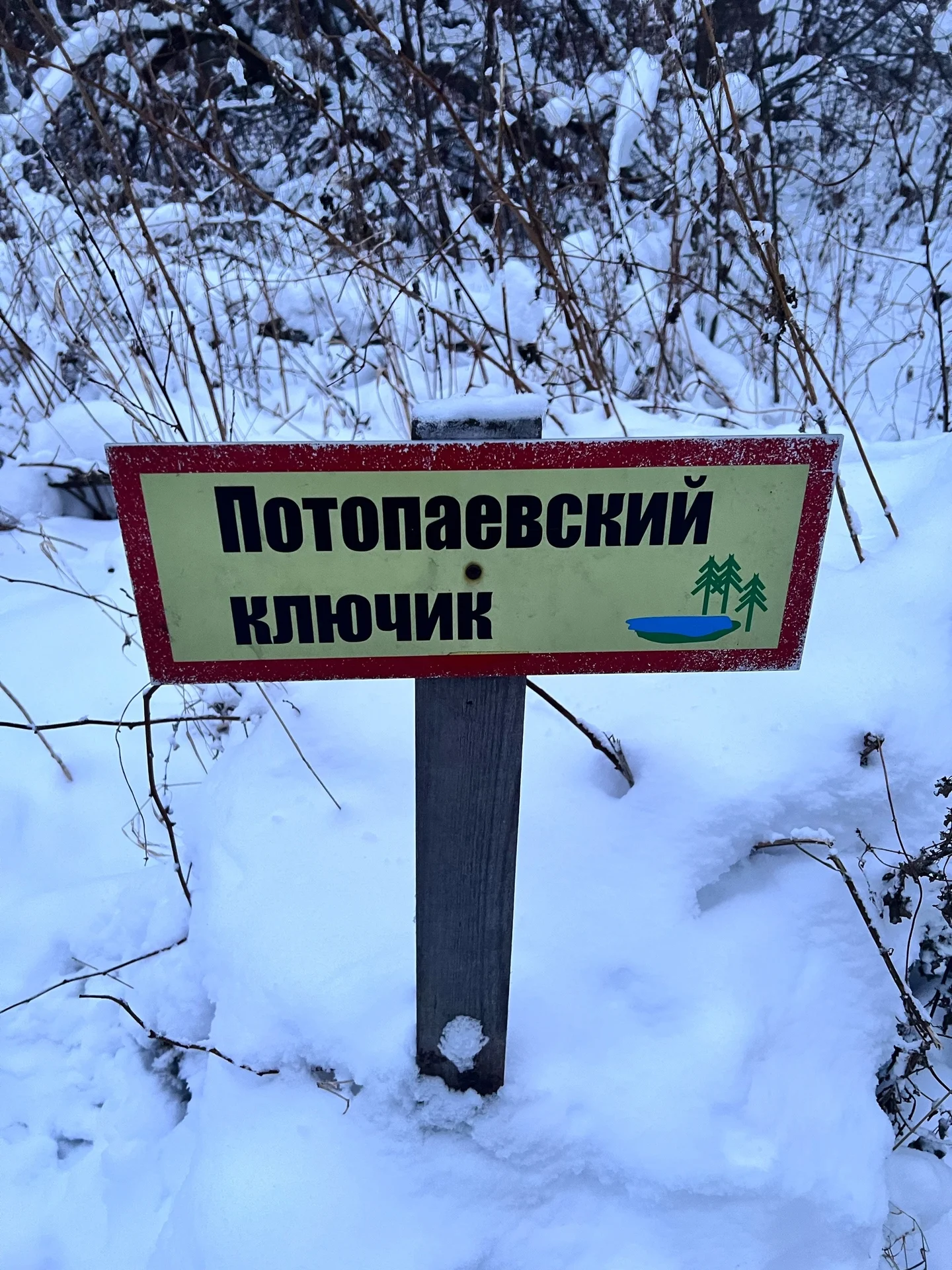 Говяжий костный бульон. Натуральный коллаген - миниатюра 5
