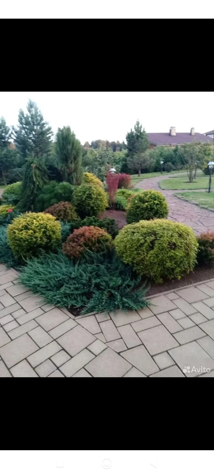 Садовник, озеленение, благоустройство. - миниатюра 6
