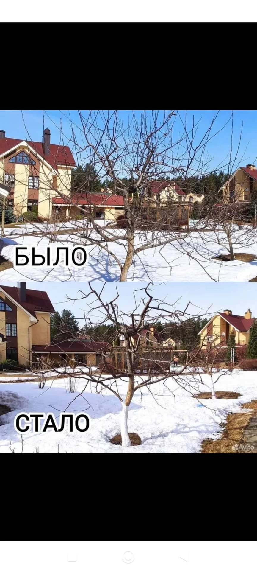 Садовник, озеленение, благоустройство. - миниатюра 10