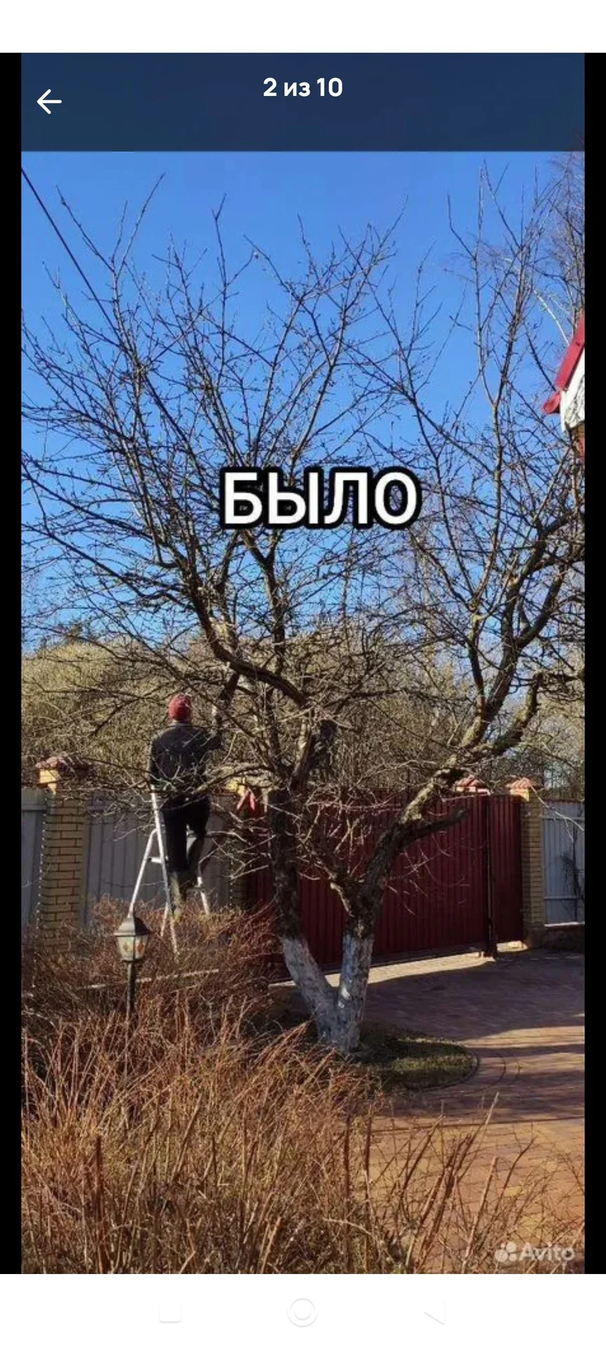 Садовник, озеленение, благоустройство. - миниатюра 11