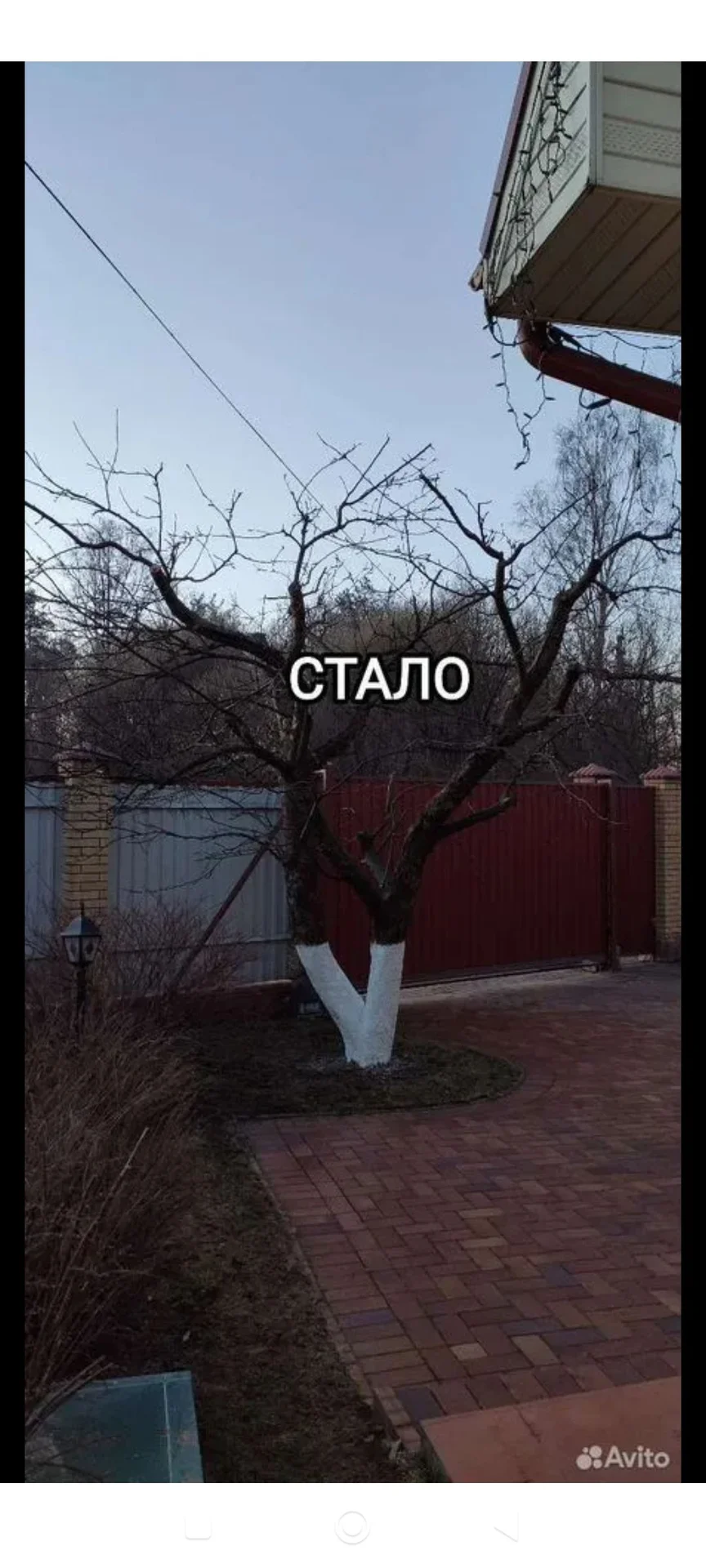Садовник, озеленение, благоустройство. - миниатюра 12