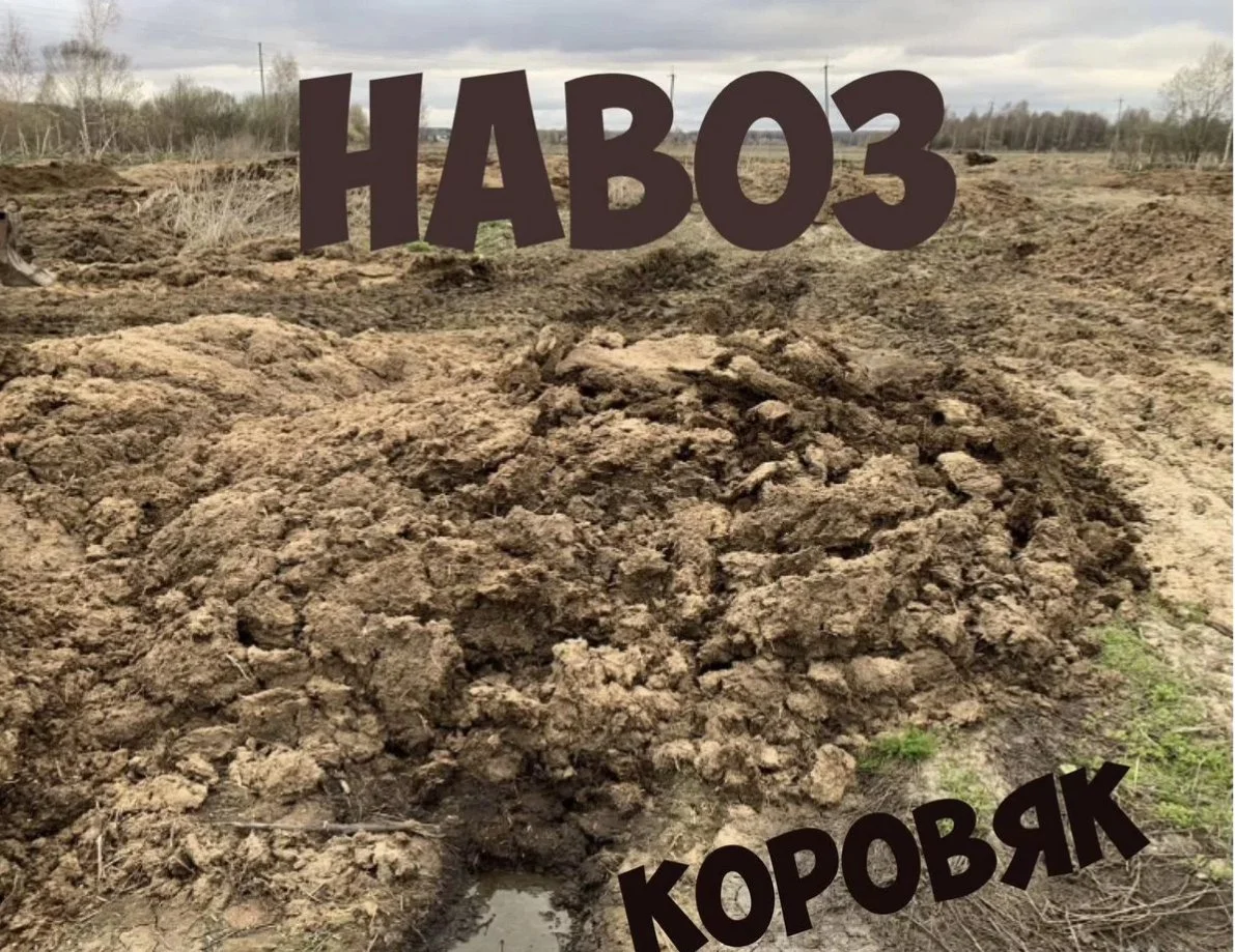 Навоз коровий,Перегной - изображение 1
