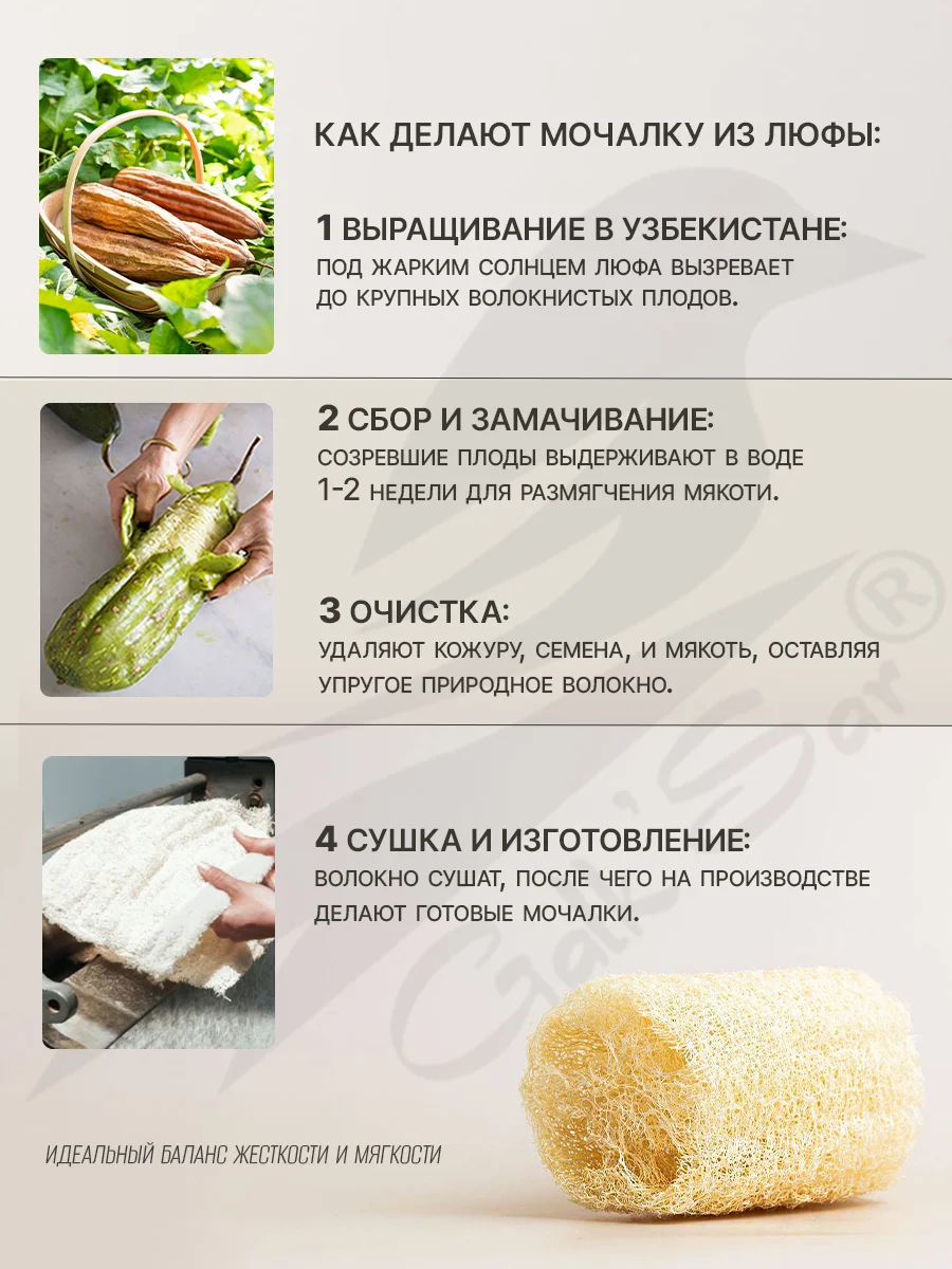 Мочалка рукавица натуральная люфа - миниатюра 8