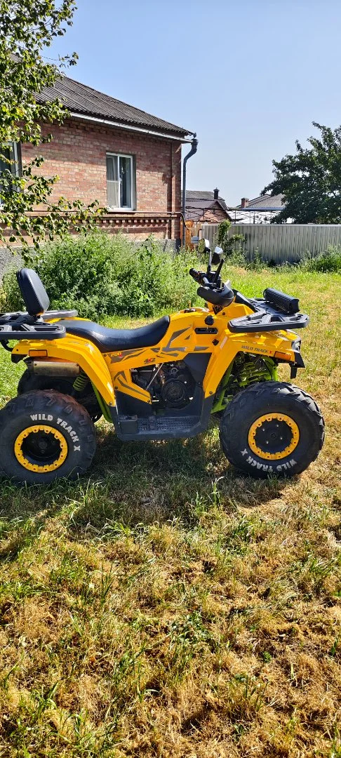 Motoland Wild Track 200Pro Winch - миниатюра 3