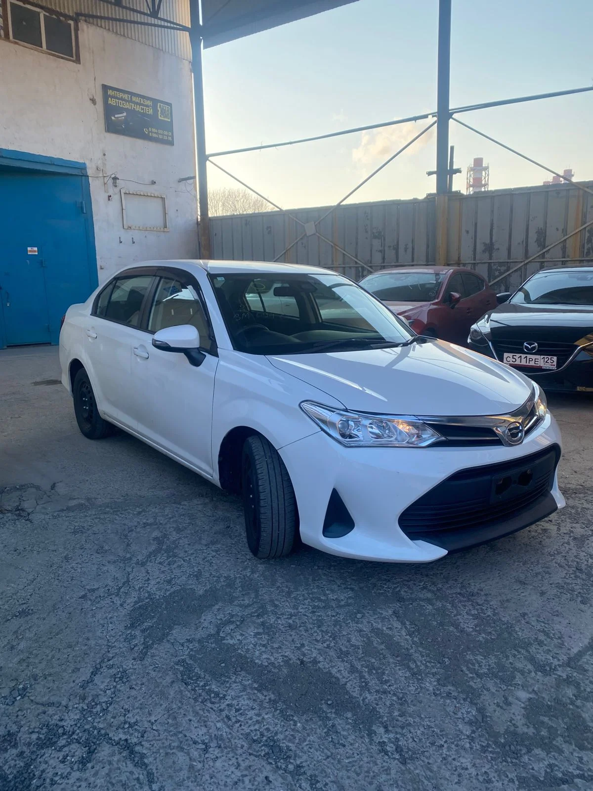 Toyota Corolla Axio - надежный и экономичный - изображение 1