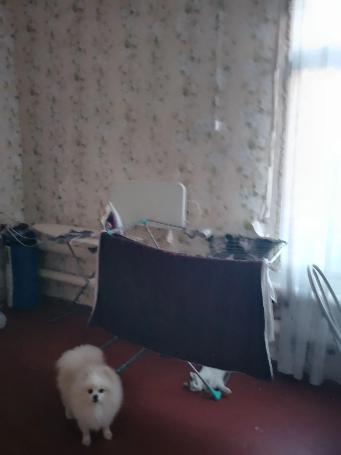Продам дом - миниатюра 11
