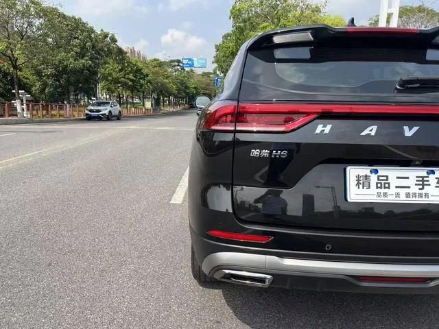 Haval H6 2023 г. 1.5л 150 л.с. - миниатюра 8