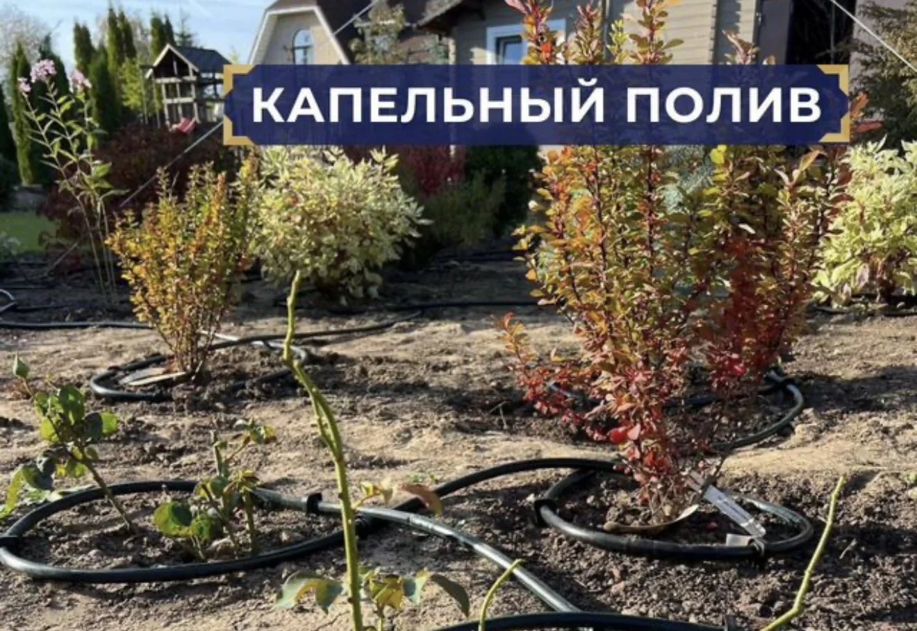 Капельный Автополив - изображение 1