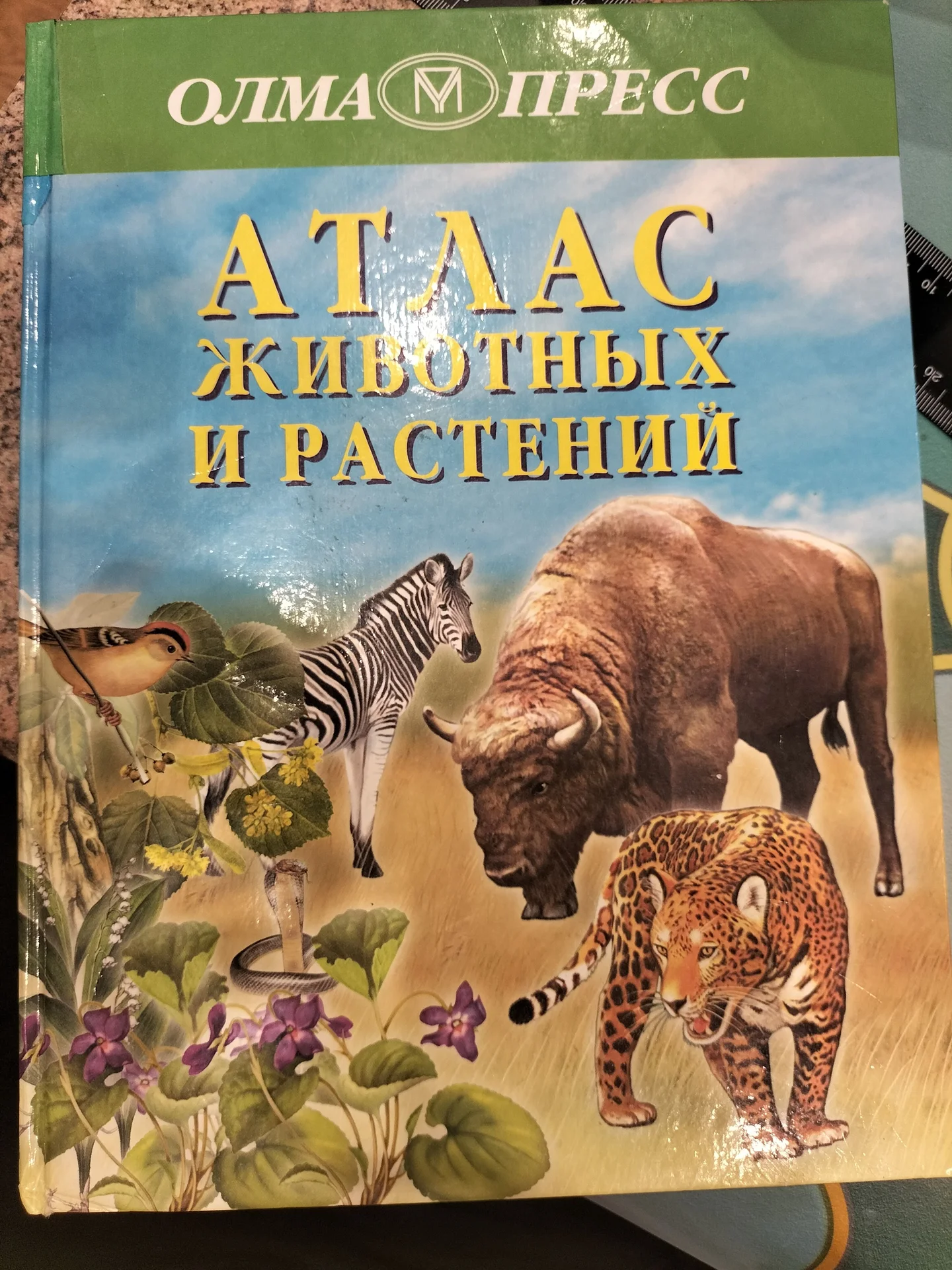 Книга - изображение 1