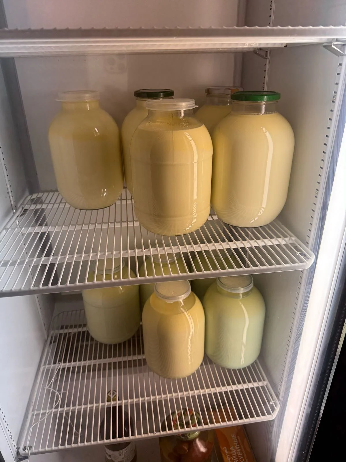 Домашняя молочная продукция